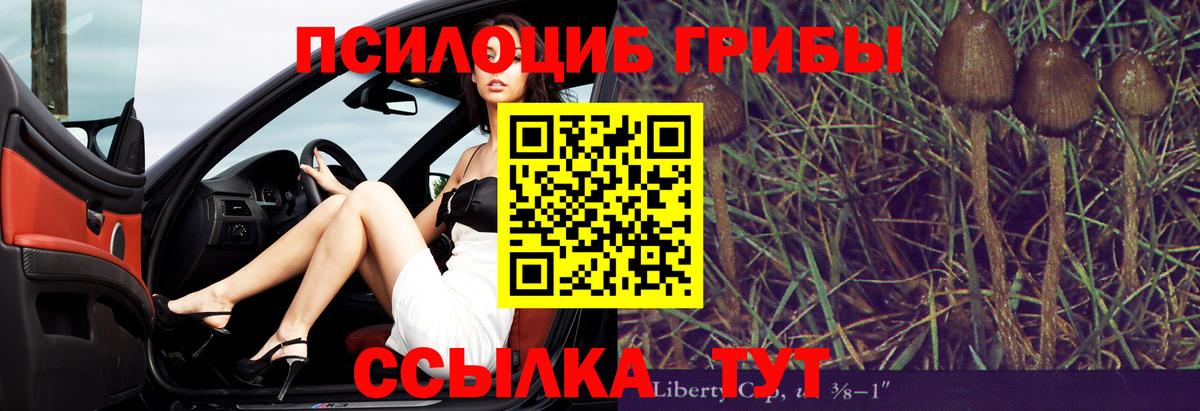 Псилоцибиновые грибы Psilocybe Карталы